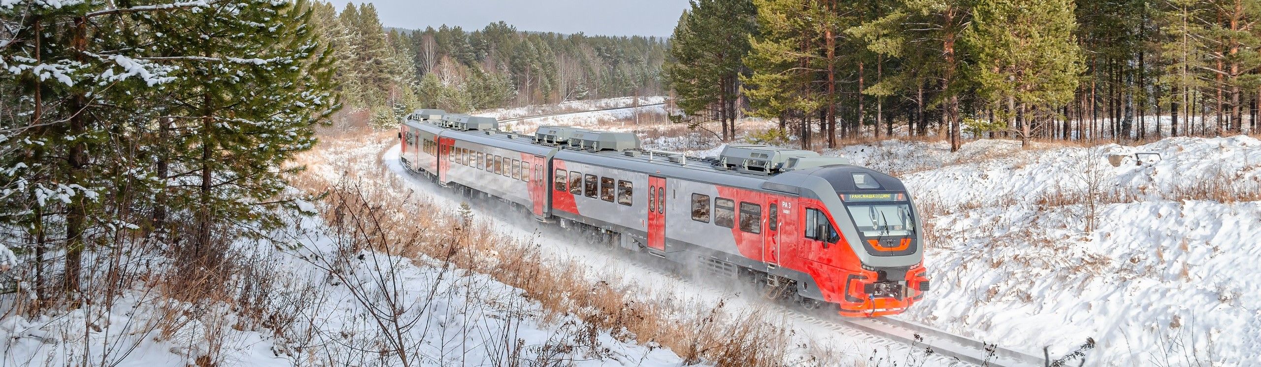 Купить Билет Костомукша Санкт Петербург Ржд