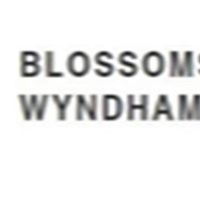 blossomofwyndham