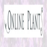 Online_Plants